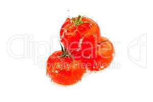 tomatoes with splashes of water isolated on white