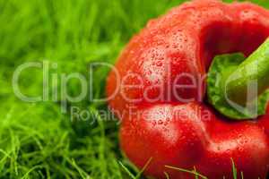 red peppers with drops of water lying on green grass