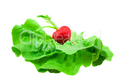 radish lying on a green leaf isolated on white