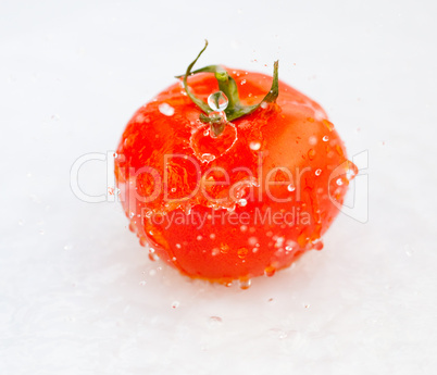 tomatoes with splashes of water isolated on white