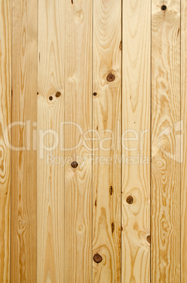 Texture of pine wood