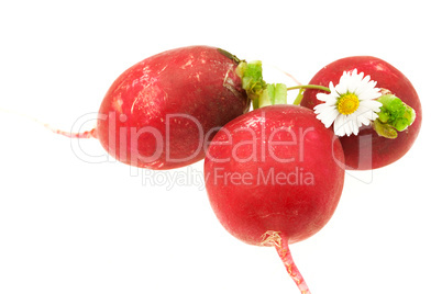 flower and radish isolated on white