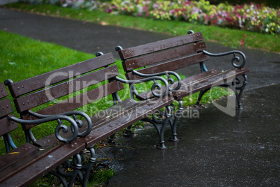 wet benches in the park on rain