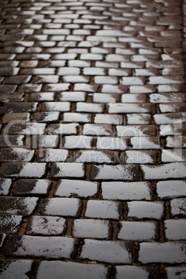 Background from the wet pavement with grass