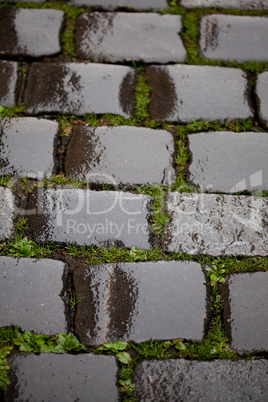 Background from the wet pavement with grass
