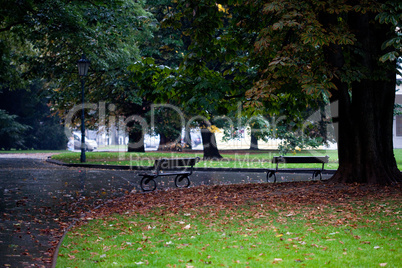 wet benches in the park