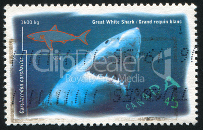 postage stamp