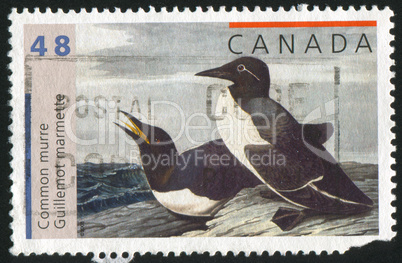 postage stamp