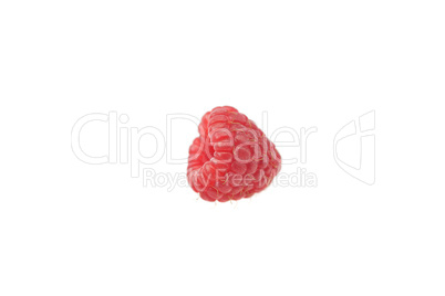 Raspberries isolated on white