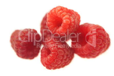 Raspberries isolated on white