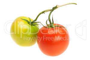 green and red tomatoes isolated on white