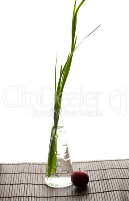 iris in a vase and an apple on a bamboo litter isolated on white