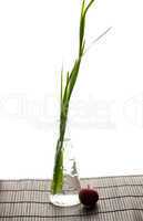 iris in a vase and an apple on a bamboo litter isolated on white