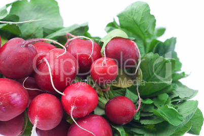 radish isolated on white