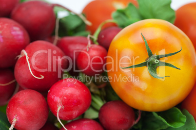 radish, cucumber and tomato isolated on white