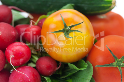 radish, cucumber and tomato isolated on white