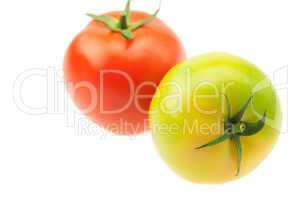 green and red tomatoes isolated on white