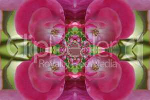 rosenornament