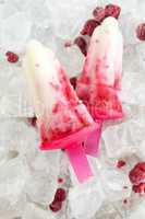 Delicious raspberry yogurt popsicle icecream
