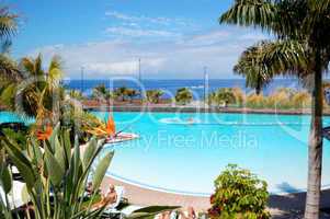 Bird Flower Strelitzia (in focus) and swimming pool and beach of