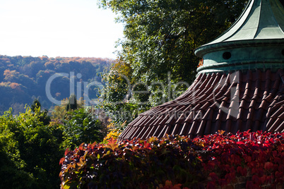 roof of the rotunda