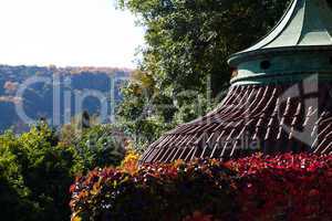 roof of the rotunda