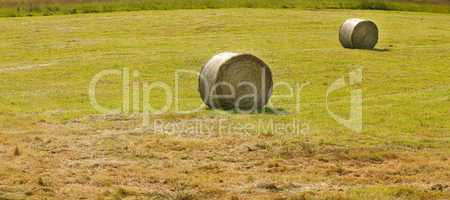 Round haystacks in a field