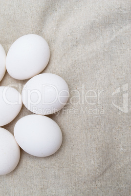Eggs on a white background