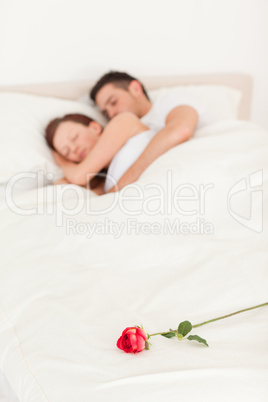 Rose on a bed of sleeping happy couple