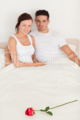 Rose on a bed of happy couple