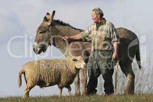Mit Schaf und Esel