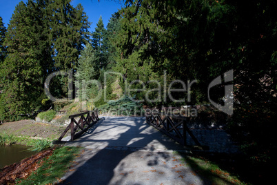 beautiful autumn landscape