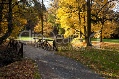 creek and bridge in the autumn forest