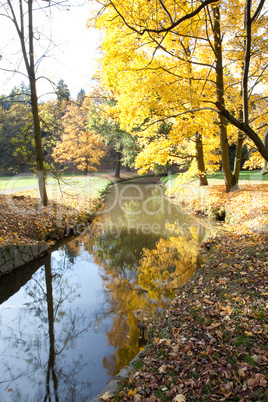 creek and bridge in the autumn forest