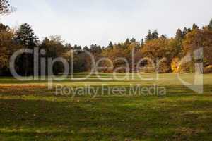 meadow in the autumn forest