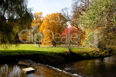 waterfall  in the autumn forest