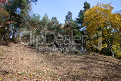 beautiful autumn landscape