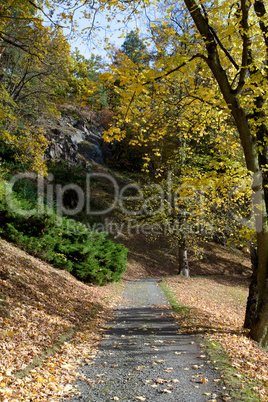 beautiful autumn landscape