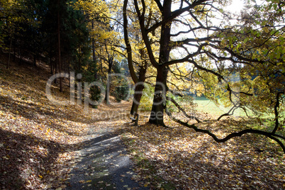 beautiful autumn landscape