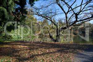 beautiful autumn landscape with colorful trees and a pond