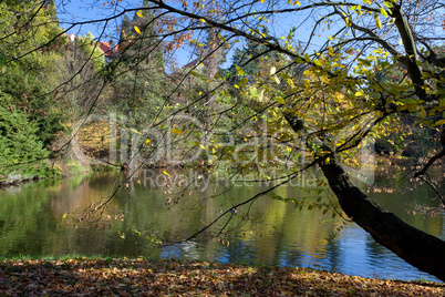 beautiful autumn landscape with colorful trees and a pond