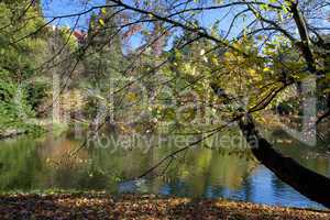 beautiful autumn landscape with colorful trees and a pond