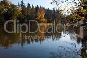 beautiful autumn landscape with colorful trees and a pond