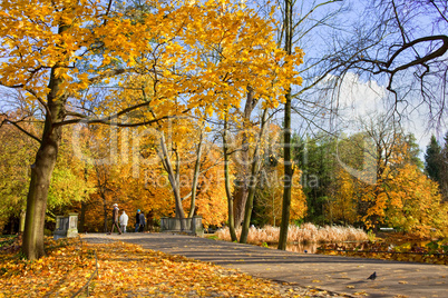 Lazienki Park in Warsaw