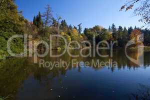 beautiful autumn landscape with colorful trees and a pond