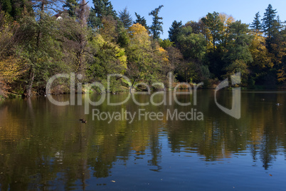 beautiful autumn landscape with colorful trees and a pond