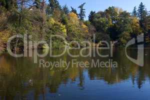 beautiful autumn landscape with colorful trees and a pond