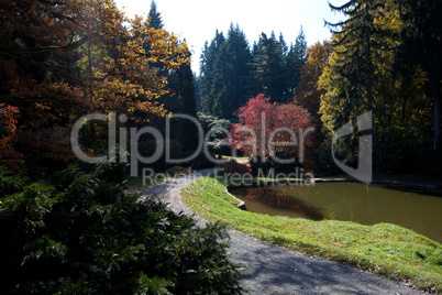 beautiful autumn landscape with colorful trees and a pond