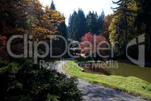 beautiful autumn landscape with colorful trees and a pond