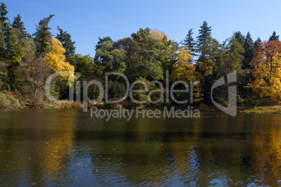 beautiful autumn landscape with colorful trees and a pond